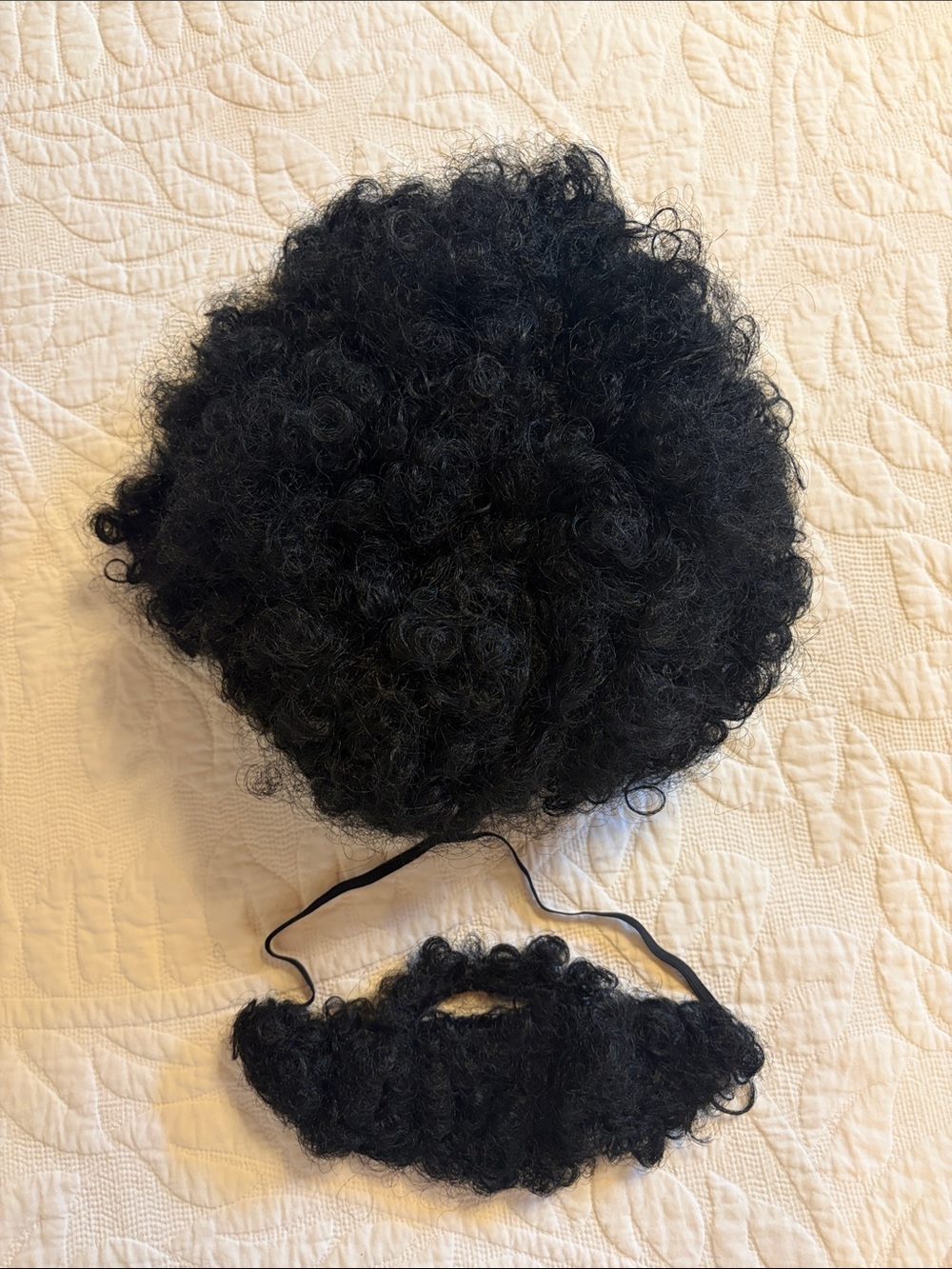 Black Curly Hairpiece Wig and Mustache Set